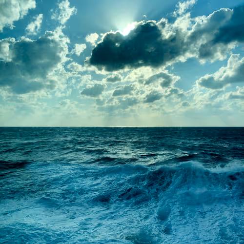 Untitled Collection #50311650