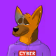 8507602798614479276504192610193057304886543673272955415270576005740048154625