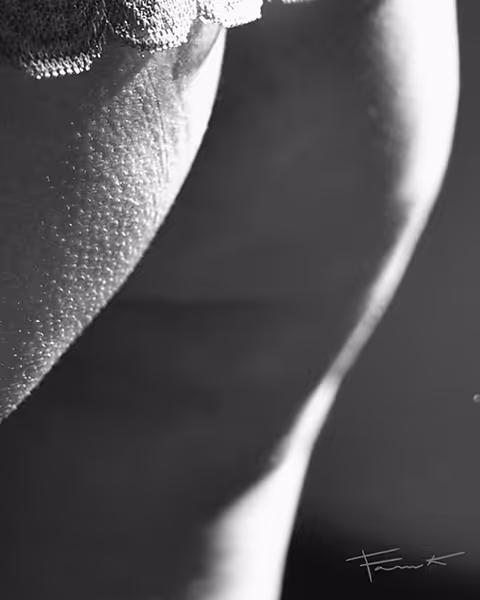 Item #100748379412919059267110879785057129888508222288536348751201759410660455743489 Media