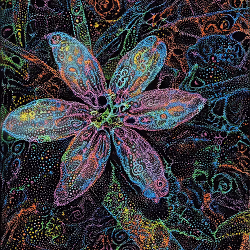 DavosGenerativeArt Collection