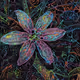 DavosGenerativeArt Collection
