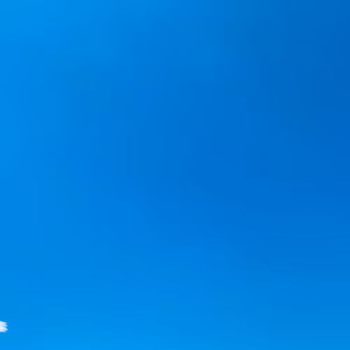 Untitled Collection #364668153 - old