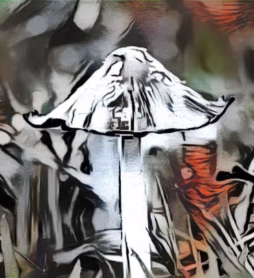 Item #98828088198769885069129805652987605738903563667474416042030428802722679488513 Media