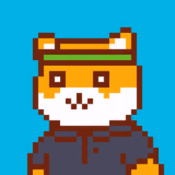 32x Shiba #31