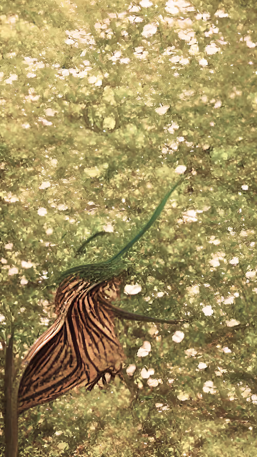 Item #30620560946829215368081876769066015045672865411953845934377290548204326092801 Media