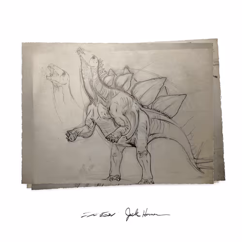 Item #22582927822880265950669941219355019494534003366966592492782895252267035787265 Media