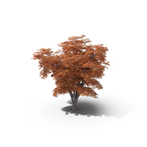 Item #36557224033069565400419298715916611442711242076290286007895566350300588539905 Media