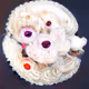 88362114543011493729646079401599735141417465033337521966048339373009481498625