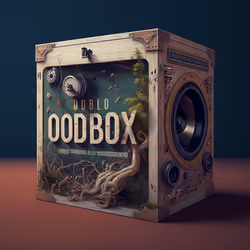 OODBOX 