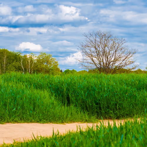 Item #103686277115178527412315898511256896200639863012682764514094226648585306374145 Media