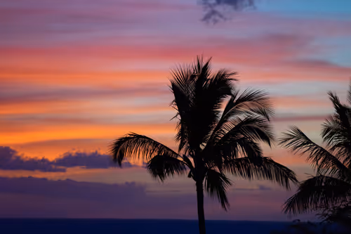 Item #38069088421557280780080489884356511775313840977413642295707171775356786966529 Media