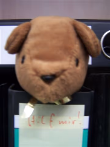 Item #40352543937164131018114315850794281934513483904303810063037248796670847614977 Media