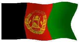 31923475113222243199116214933683235070636976751096974805873396807294632591361