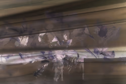 Item #40278163781146387807919824223492945877750948775305722317404597045976234983425 Media