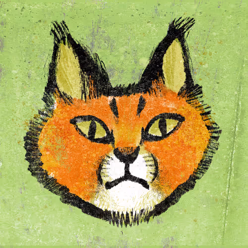 Caracal #045