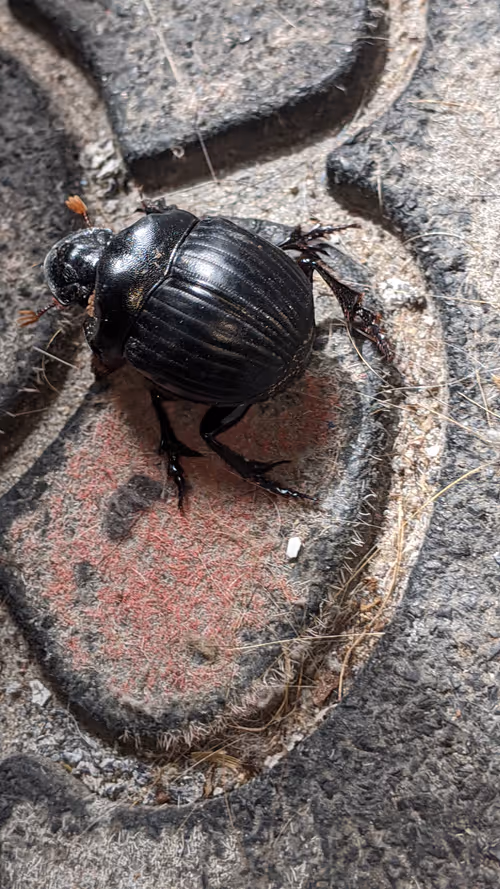 Item #47518194273065051299756248603371626593986050369570479212048397537762821013505 Media