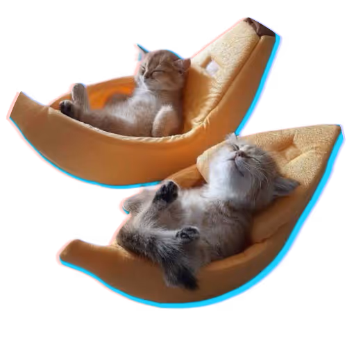 Item #41359967473107414626862898827086195778885191309731631710231367225841148755969 Media