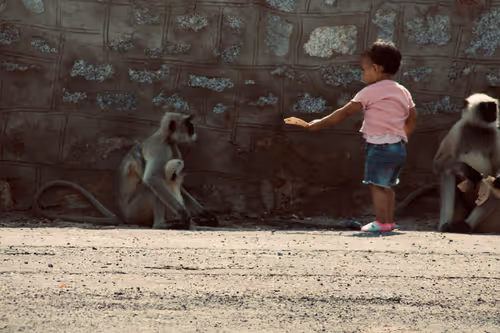 Item #74690416694188400251446321687364251373014292193718019564290561770959216312321 Media