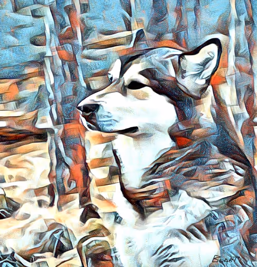 Item #100912189096696144949180120692345760590440403347893883972252148242770145837057 Media