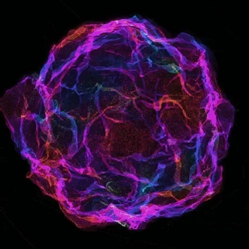 95101905119623391737125042823547733213241203435941216547355066302934064037889