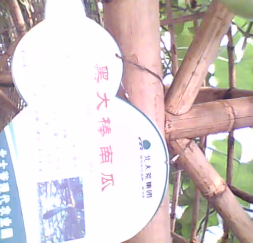 Untitled Collection #136967473