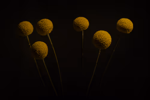 Item #78290859564487950582035157187154512379100989933844946097788898246025713549313 Media