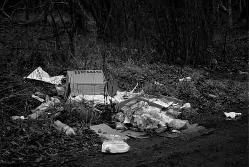 Item #106126435747361760478255485780352519166561968959024906964316827665124923801601 Media