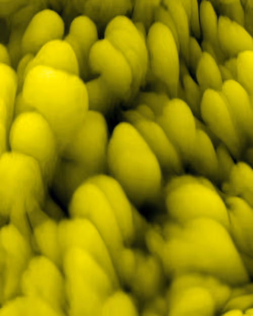 Item #20017967380901690084241553034656833281118552242077922707542247218754107736065 Media