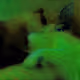 109876896244876494165829116612217282776972998645889016702827087786927359787009