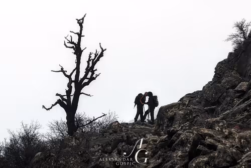 Item #65345487953311582179904319908136273825398030986349115812322284651307790761985 Media