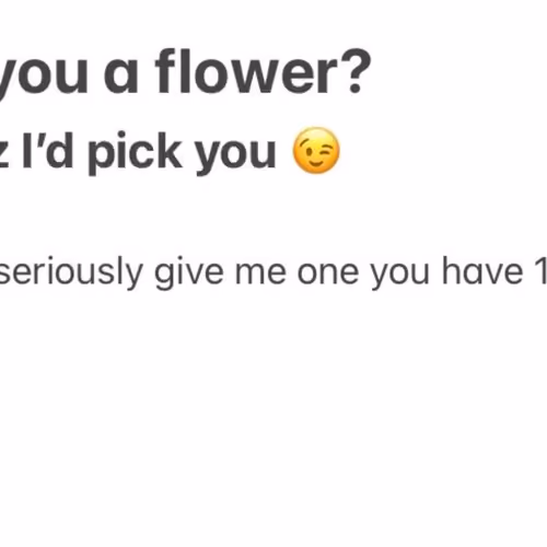 gimme a flower bro