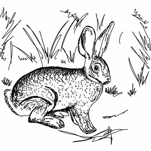 Item #2193413964396688017519545014039079487977398058992088711471590564226081488897 Media