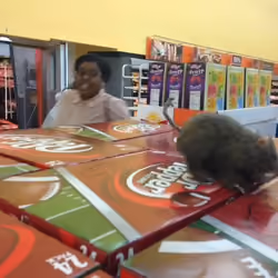 Rat In Walmart