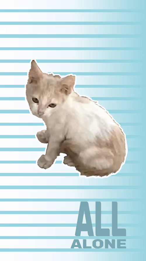 Item #39131870878443609504230106724730931861101567602754011991787220840560610770945 Media