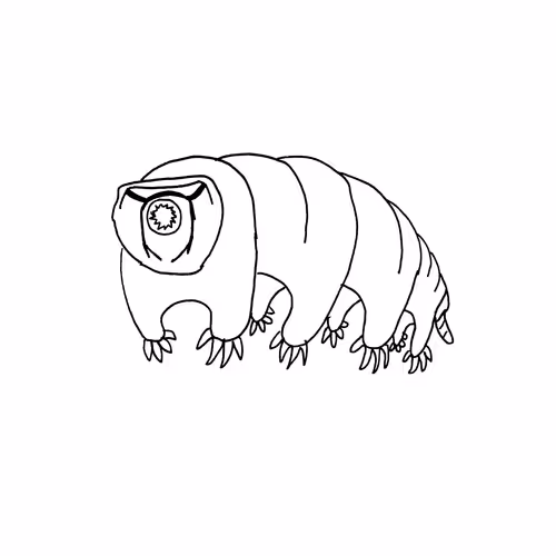 Item #39467752531695564988565685527212867997796737316622728767926865062093284966401 Media