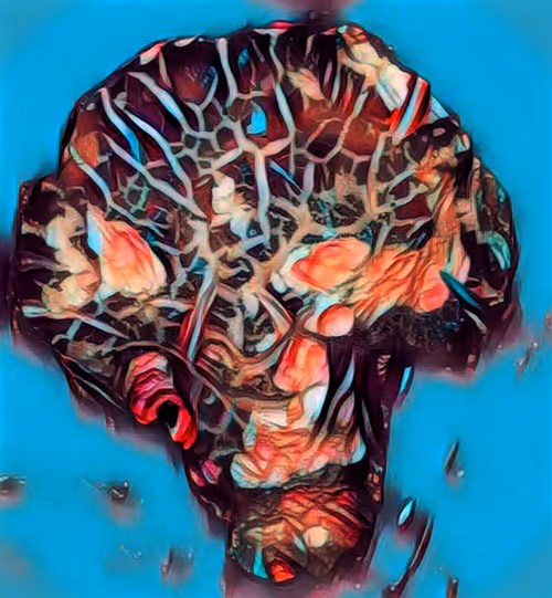 Item #80050559332347163335601971796963442430023304175303914027877321157158434242660 Media