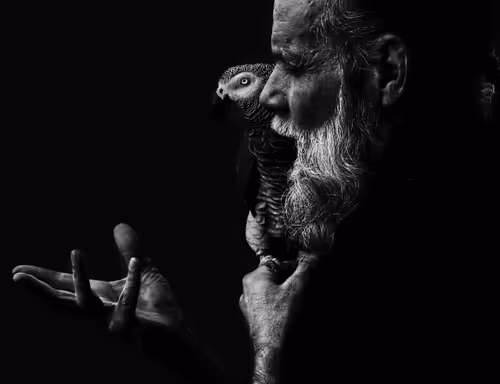 Item #11694855770375569308368337913014193946221871266214742939788818396543912509441 Media