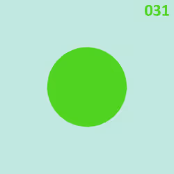 circle 31