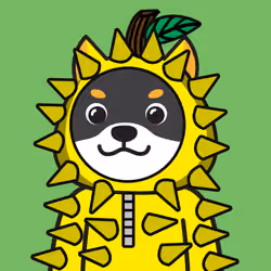 bobo shiba gen2 #089