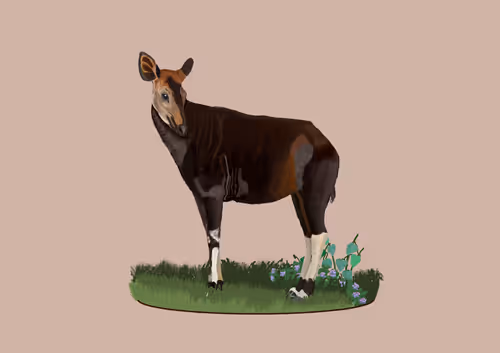 Item #76635623021787309812694420302215559780478835014345692098871688035107331899393 Media