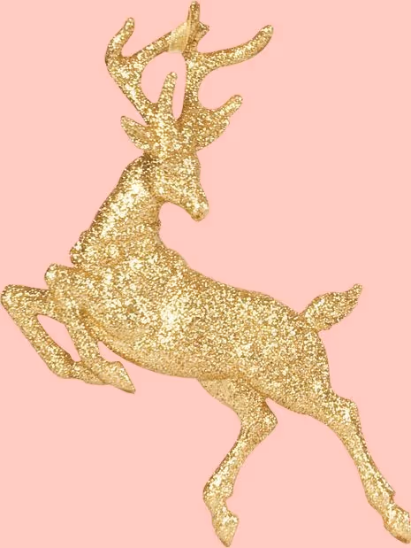 Item #81782205041601098620493693111202976409833722435603250912437964275089347182593 Media