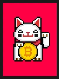 Nekko_cat