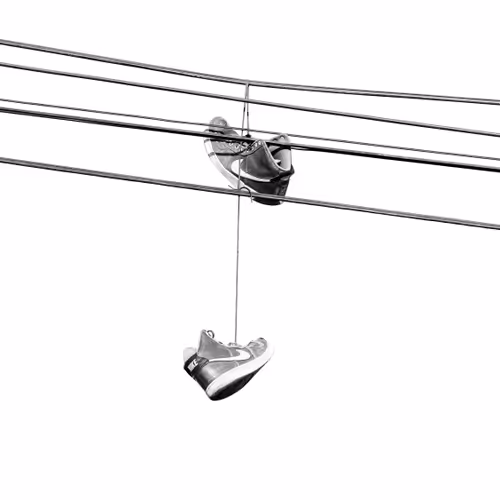 44231692163325033527706634296024509461007343983716307526579858971444423688193