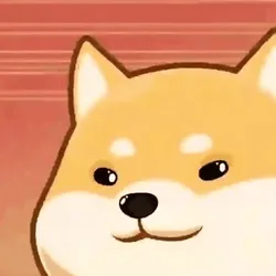 Intrusive Shiba