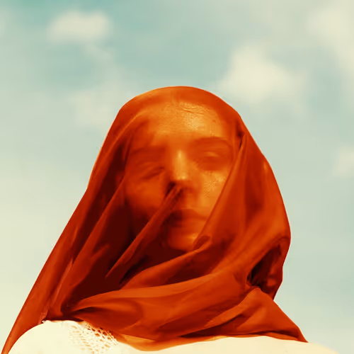 109162157552346088047496633038404394118504199992061596446112929518268757049345