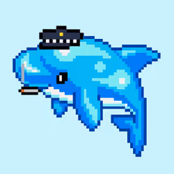 Dolphin Punk #5