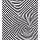 3799515490220879732882333409938015140683167415382329987461811151923264356353