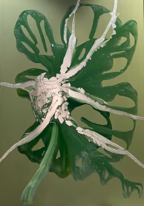 Item #108720101926881500504444181750674817429130040103745024839207986540420219797505 Media