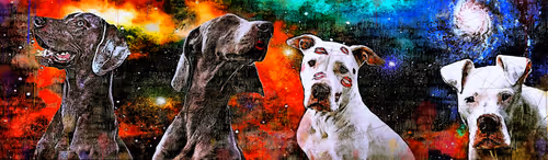 Item #32509916381436870306665048436098599867854249219634573172515294438141515005953 Media