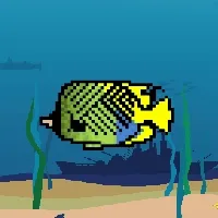 Etherfishing